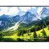 LG 43UT782H UHD Pro:Centric Smart Hotel TV