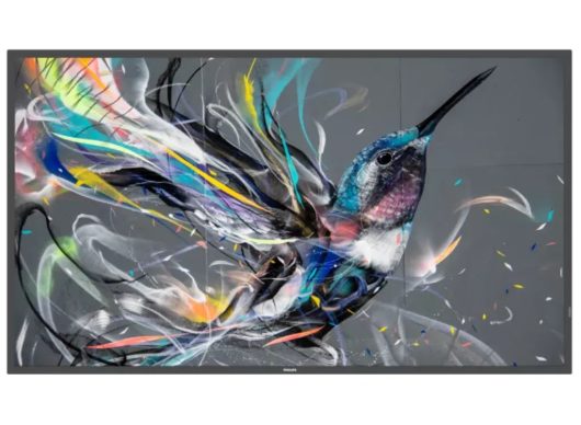 Philips Q-Line | 50BDL3550Q/00 50" 4K Ultra HD Smart Digital Signage Display