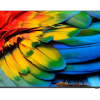 Philips 58HFL6214U 58" MediaSuite 4K Smart Commercial Professional TV