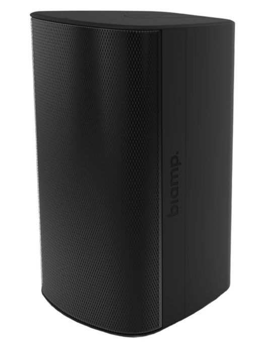 BIAMP Desono EX-S8-UB-B Surface Mount Speaker | 911.1816.900