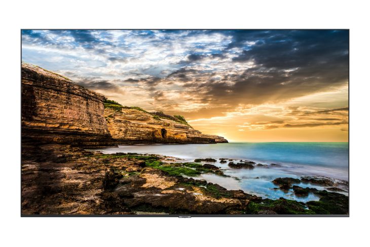 Samsung 43" QE43T Display