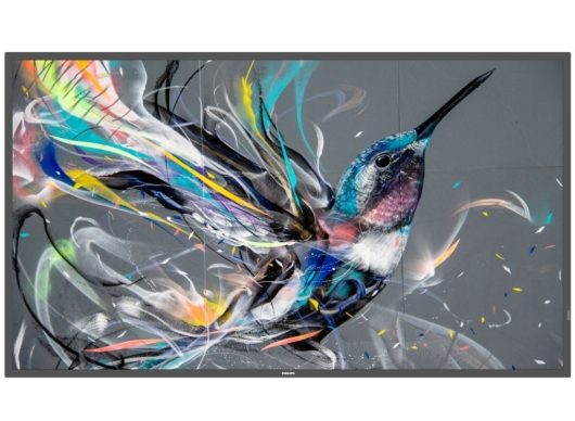 Philips Q-Line | 50BDL3511Q/00 50" 4K Ultra HD Smart Digital Signage Display