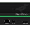 BirdDog Flex 4K Out Full NDI Decoder | BDFLEXDEC