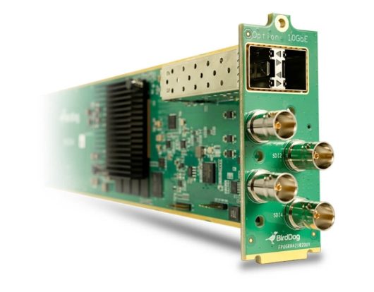 BirdDog OG4 NDI OpenGear Card | BDOG4