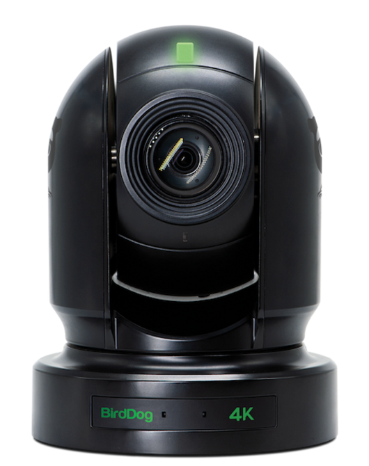 BirdDog BDP400B Dome IP Security Camera Indoor Ceiling/Wall