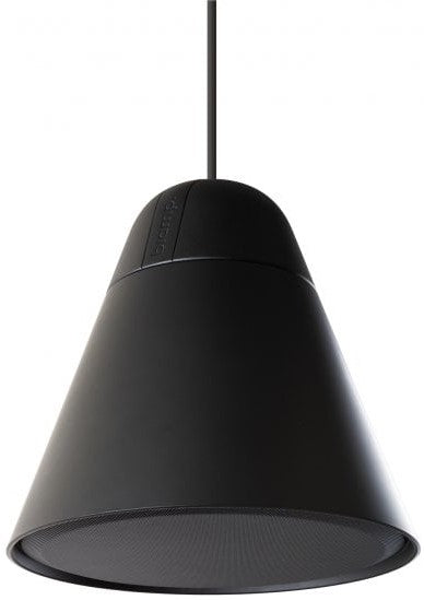 BIAMP P30DT Two-Way 4.25" Pendant Mount Loudspeaker - Black