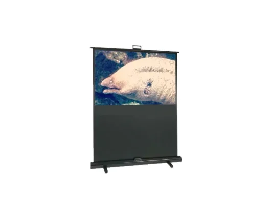 Sapphire Pull-Up 177x99.5cm Projector Screen 16.9 80 inch SFL162WSFP