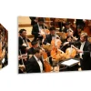 Screen Int Canaletto Wrap Around Fixed Frame 250 x 140cm Screen 16:9 114 Inch CLWA250X140
