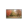 Sapphire Fixed Frame 203 x 127cm Slim Bezel Front Projector Screen 16:10 94" SFSC203-10SB